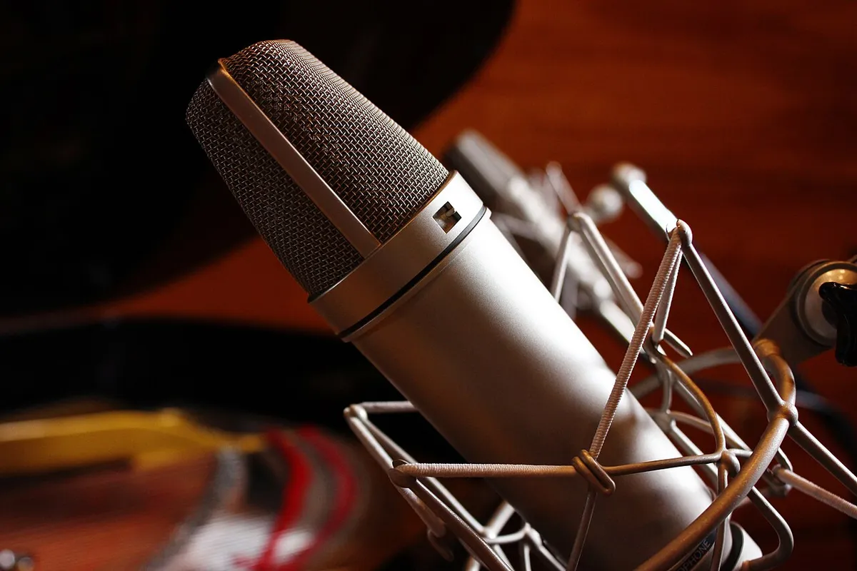 Microfon de studio Neumann U87 cu condensator, montat într-o suspensie elastică